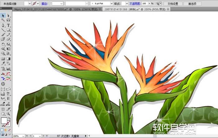 ai怎么繪制天堂鳥花