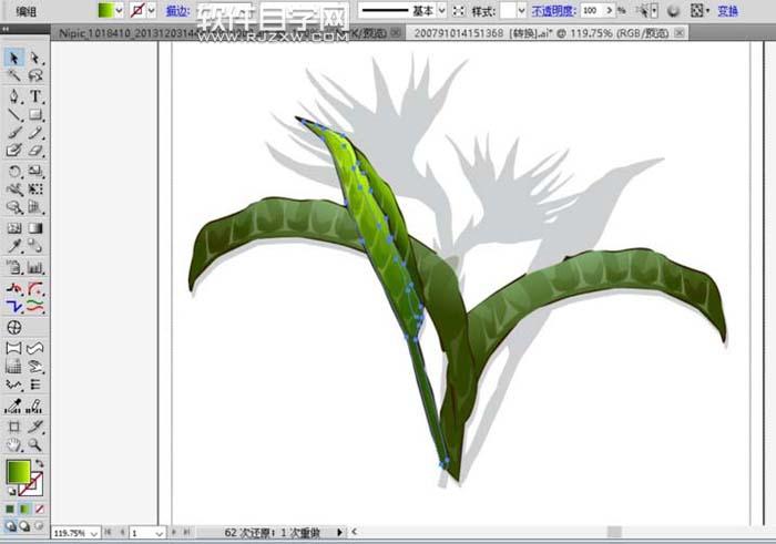 ai怎么繪制天堂鳥花