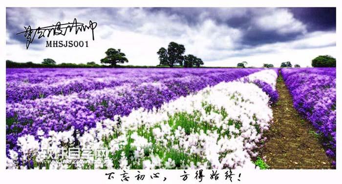 ai怎么扭曲圖片