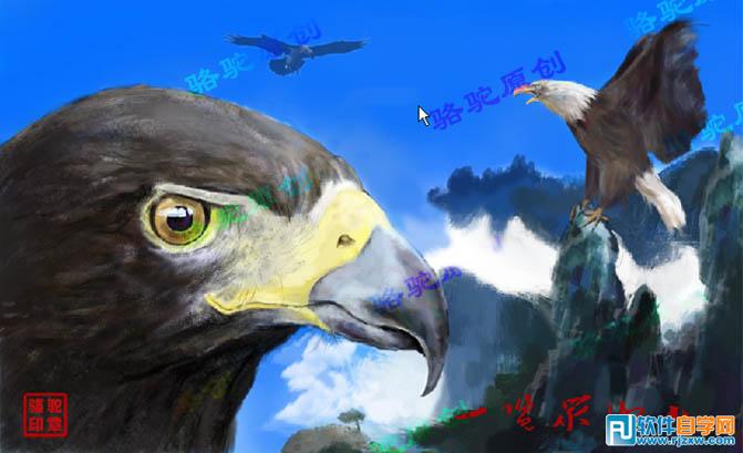 PS繪制山鷹