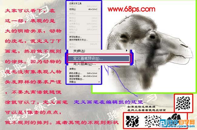 PS繪制沙漠駱駝插畫