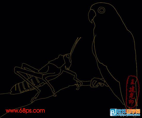 超強PS鼠繪鸚鵡和蝗蟲