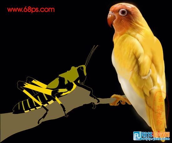 超強PS鼠繪鸚鵡和蝗蟲