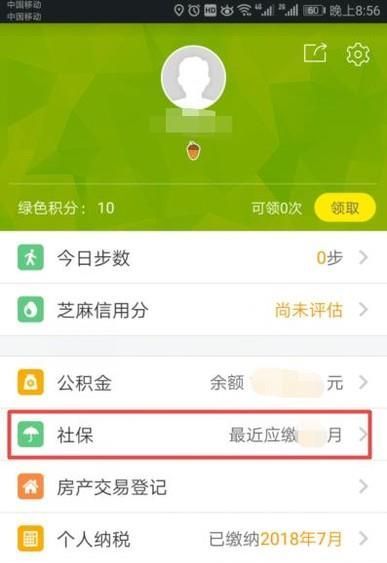 在哪里可以查到個人社保繳費信息？
