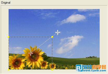 在會聲會影教你怎么讓照片自動搖動和縮放