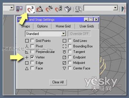 用3DMAX怎么教你制作逼真美女眼睫毛