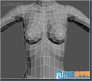 怎么教你用3DMAX建造女性角色模型
