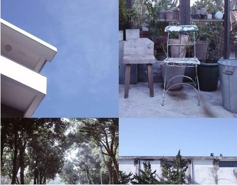 手機(jī)拼圖軟件哪個(gè)好用 相片組合軟件推薦