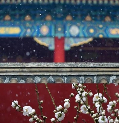 手機(jī)拼圖軟件哪個(gè)好用 相片組合軟件推薦