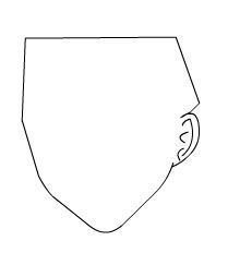 用Flash繪制美麗的女孩實(shí)例教程