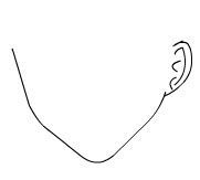 用Flash繪制美麗的女孩實(shí)例教程