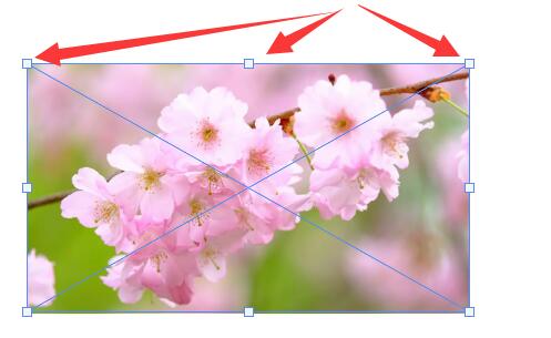 ps導入圖片到圖層調整大小教程