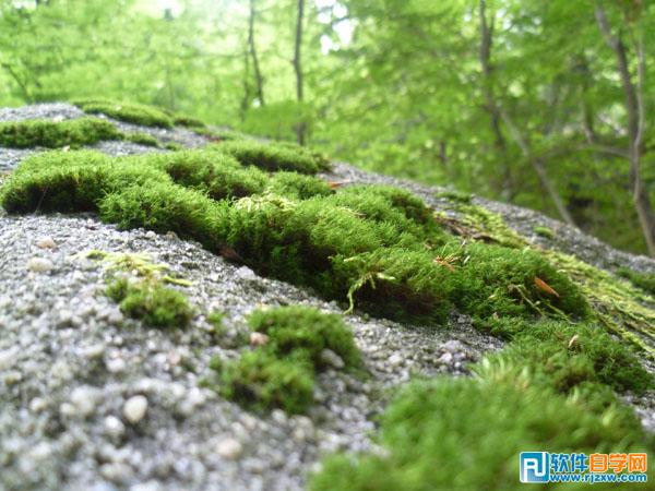 photoshop夢(mèng)幻效果的房子