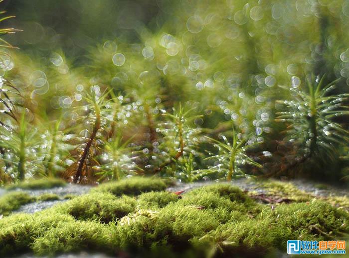 photoshop夢(mèng)幻效果的房子