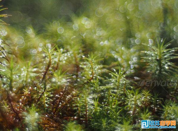 photoshop夢(mèng)幻效果的房子