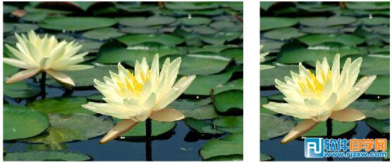 CorelDRAW中如何裁剪導入的位圖