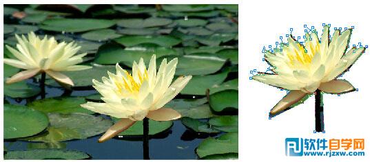 CorelDRAW中如何裁剪導入的位圖