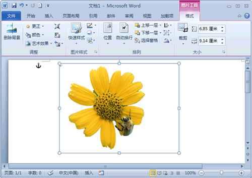 用Word 2010去除圖片背景方法介紹