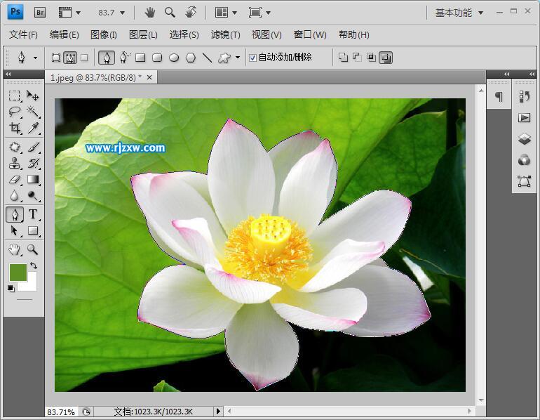 用PS摳圖的二種實用方法
