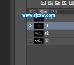 通道快速摳出藤蔓花紋素材