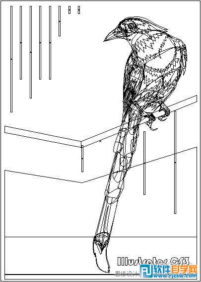 IllustratorCS6用色階畫法精細設計鳥類插畫