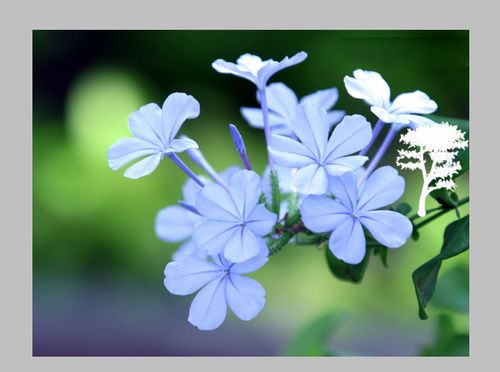 PS制作最簡單的動態圖片