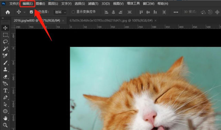 ps清理剪貼板技巧分享