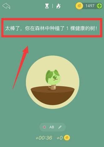 forest怎么一個人種樹