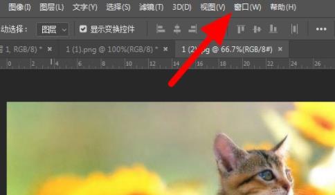 ps動(dòng)作怎么使用詳細(xì)教程