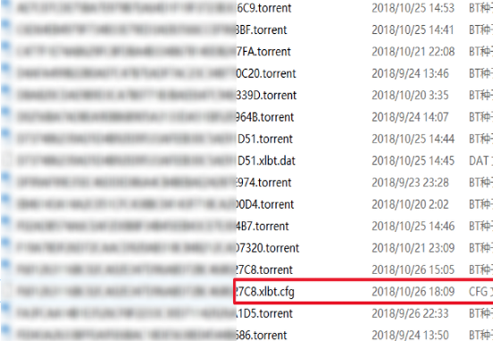 迅雷任務配置文件出錯無法繼續下載解決方法