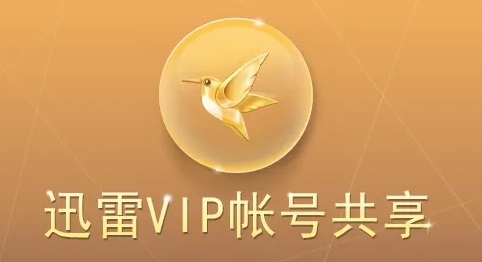 迅雷今日下載已達上限解決方法