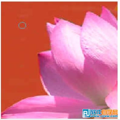 第十課：PS利用快速蒙板摳圖