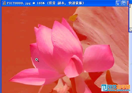 第十課：PS利用快速蒙板摳圖