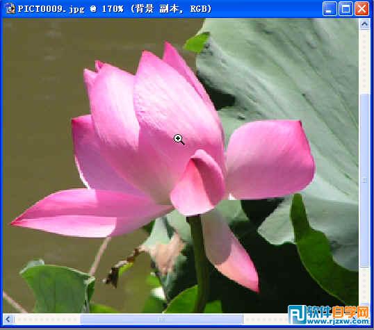 第十課：PS利用快速蒙板摳圖