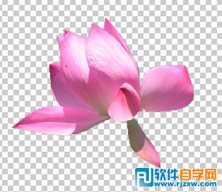 第十課：PS利用快速蒙板摳圖