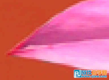 第十課：PS利用快速蒙板摳圖