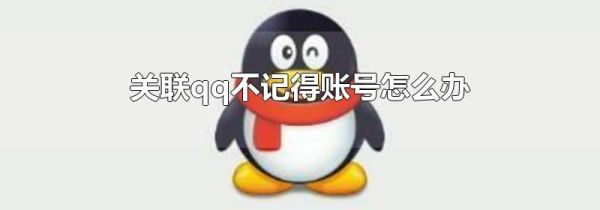 關聯qq不記得賬號怎么辦