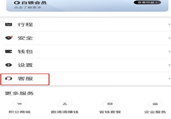 怎樣滴滴打車投訴司機