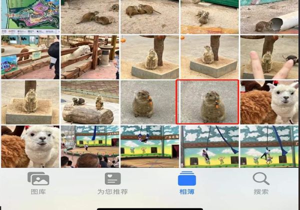 live圖怎么發給別人