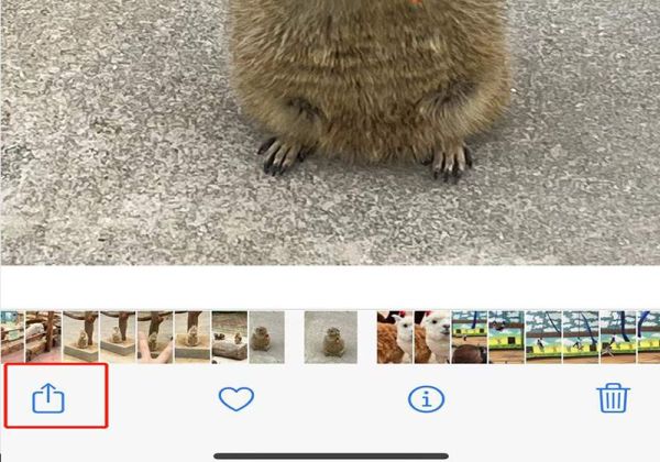 live圖怎么發給別人