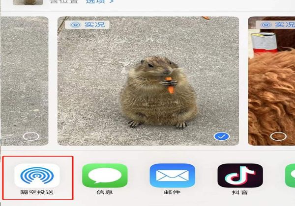 live圖怎么發給別人