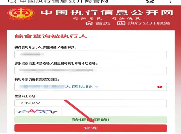 中國執(zhí)行信息網(wǎng)怎么查