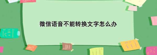 微信語音不能轉(zhuǎn)換文字怎么辦