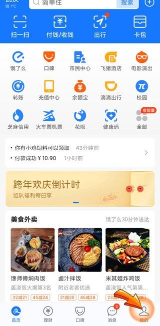 支付寶的設置在哪里可以看到