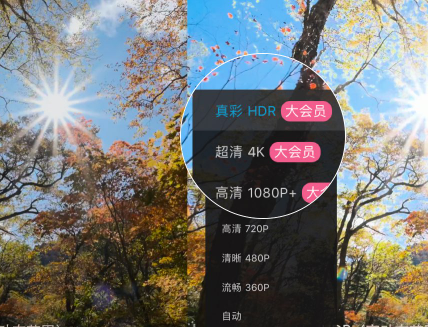 嗶哩嗶哩大會員有什么用