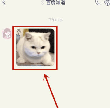 動感相冊怎么保存到手機相冊里面