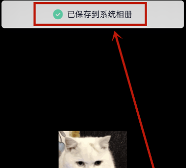 動感相冊怎么保存到手機相冊里面