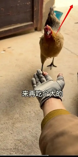 抖音怎么截屏沒有旁邊的東西