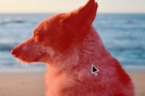 濾鏡軟件哪個好