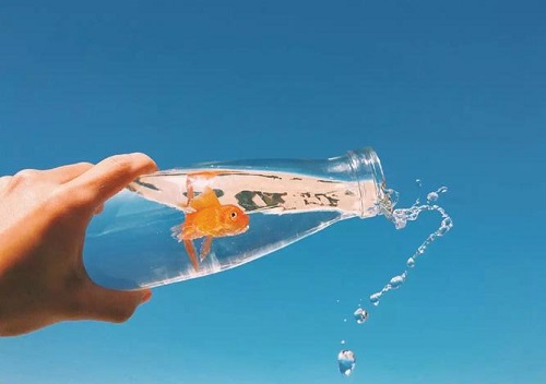 微信背景圖片2023最火爆